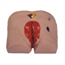 오픈메디칼(특가) Kangren 엉덩이 욕창모형 kar10 간호실습 보건교육